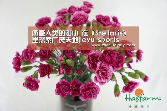 感受人类的渺小 在《Stellaris》里探索广袤天地|leyu sports(图3) 登录入口